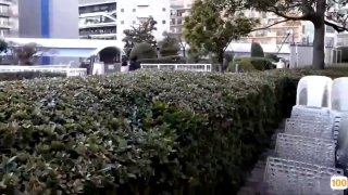 心宽看淡的句子91香蕉国产在线观看免费永久【骚浪淫娃】文静小姐姐上了床巨骚无比，骑着鸡巴自由翱翔